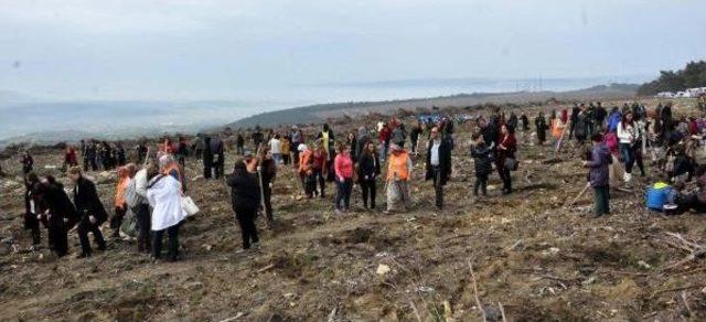 Çanakkale'de 'bereket Ormanı' Oluşturuldu