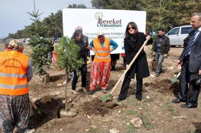 Çanakkale'de 'bereket Ormanı' Oluşturuldu