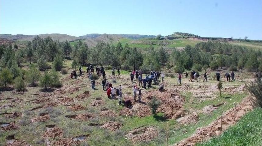 G&ouml;n&uuml;l El&ccedil;ilerinden Fidan Dikimi