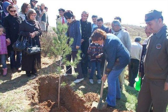 Gönül Elçilerinden Fidan Dikimi