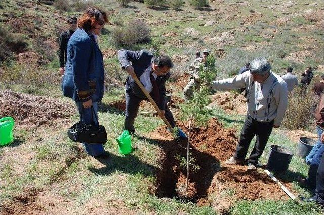 Gönül Elçilerinden Fidan Dikimi