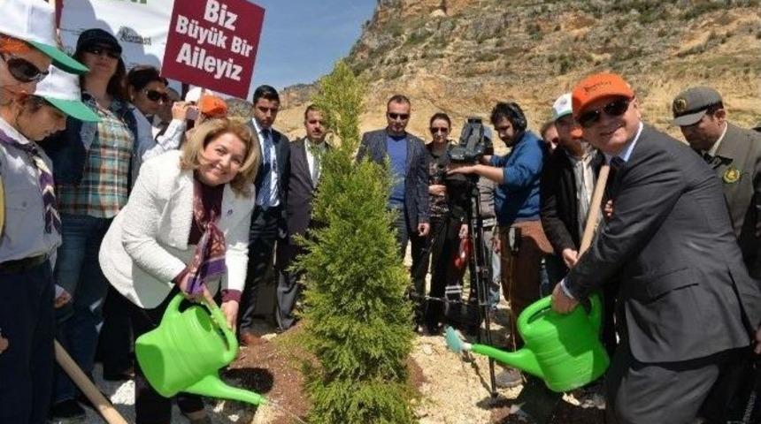 Mersin&rsquo;de G&ouml;n&uuml;l El&ccedil;ileri Bereket Ormanı Oluşturuldu