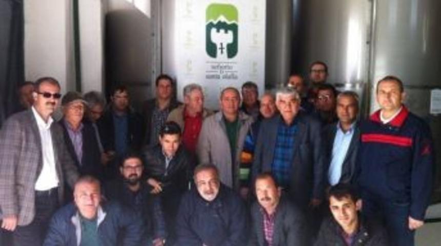 Mut Zeytinyağı İspanya’da Tanıtıldı