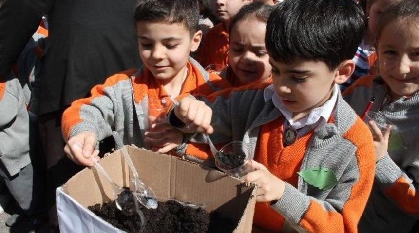 Minik Eller Tohum Dikti