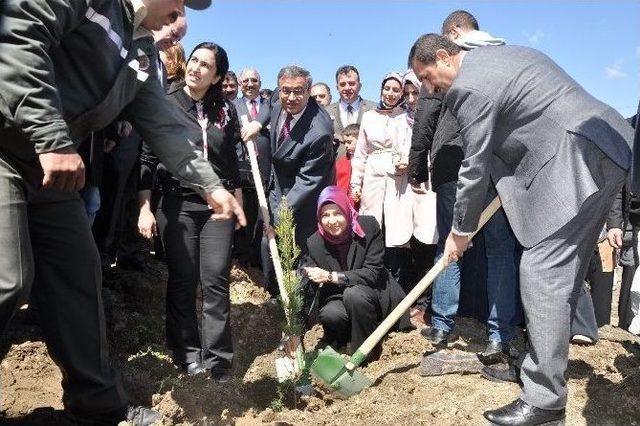 Şırnak’ta 96 Bin Metrekarelik Hatıra Ormanına 9 Bin Fidan Dikildi