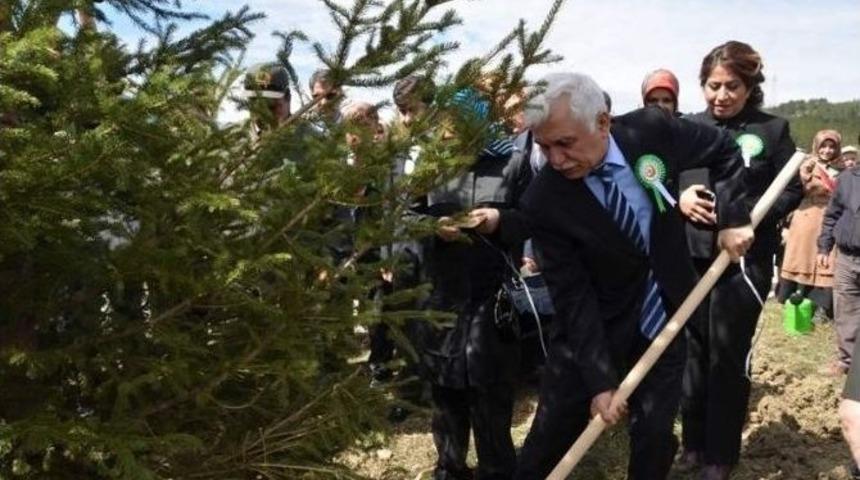 &ldquo;bereket Ormanları&rdquo; Fidanları Toprakla Buluştu