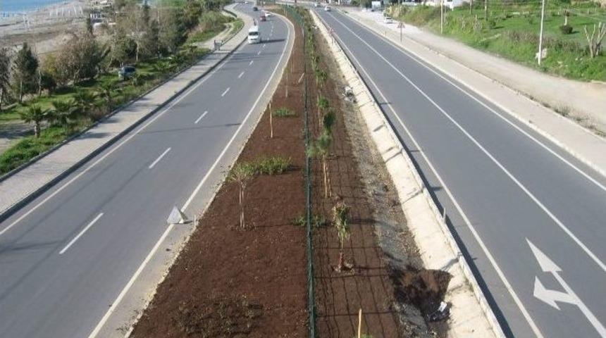 Alanya D-400 Karayolu Orta Ref&uuml;j&uuml;nde D&uuml;zenleme &Ccedil;alışmaları S&uuml;r&uuml;yor
