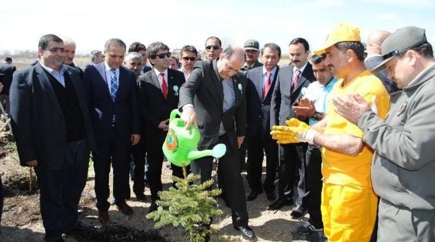 Amasya&rsquo;da Fidanlar Toprakla Buluştu