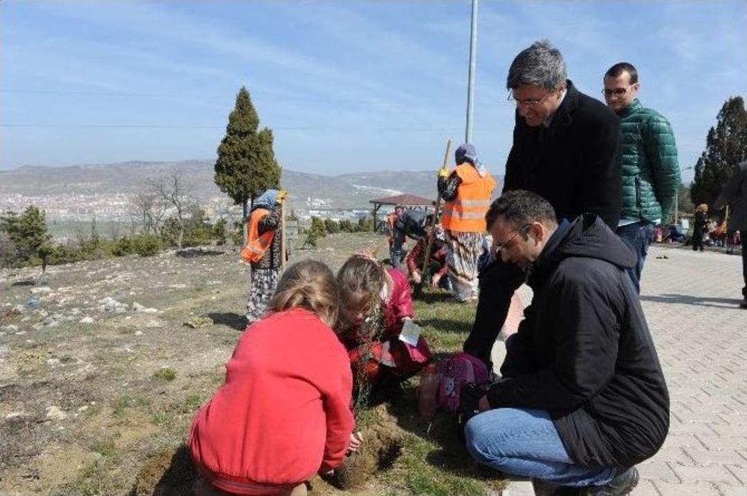 Boz&uuml;y&uuml;k&rsquo;te &Ouml;ğrenciler Kent Ormanı&rsquo;na 555 Adet Selvi Fidanı Dikti