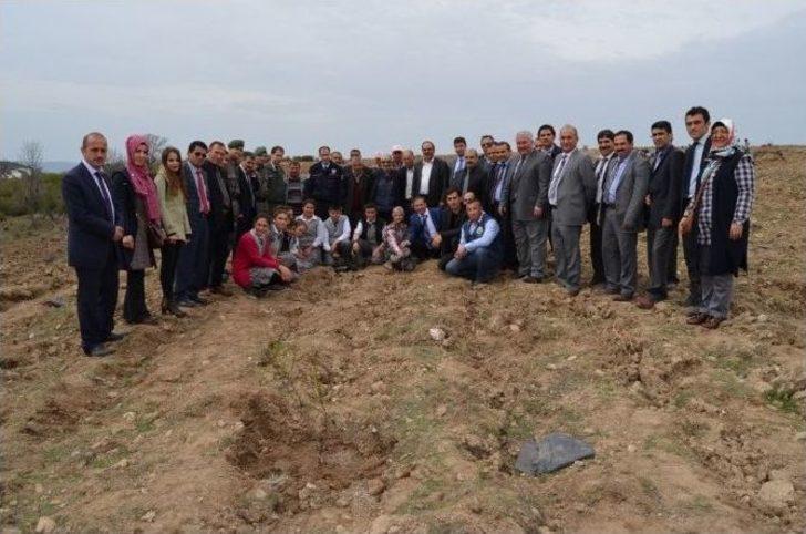 Selendi’de 2 Bin Fidan Toprakla Buluştu G1