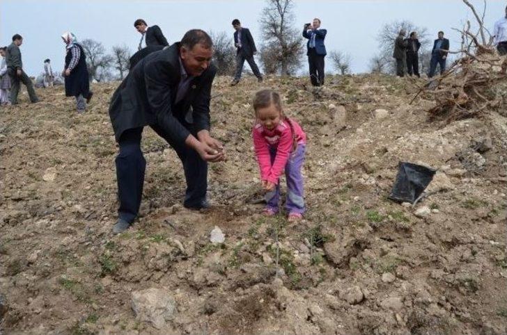 Selendi’de 2 Bin Fidan Toprakla Buluştu G2