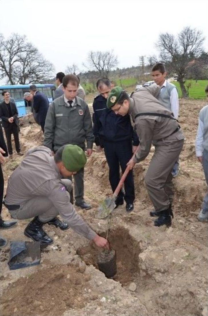 Selendi’de 2 Bin Fidan Toprakla Buluştu G4