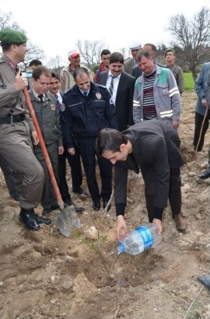 Selendi’de 2 Bin Fidan Toprakla Buluştu G5