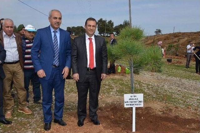 Vali Türker Bereket Ormanı Fidan Dikme Törenine Katıldı