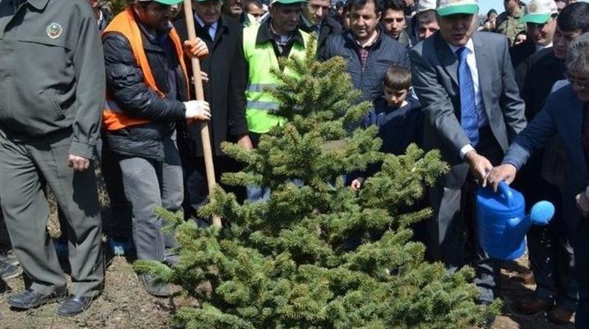 Erzurum&rsquo;da "bereket Ormanları" Projesi