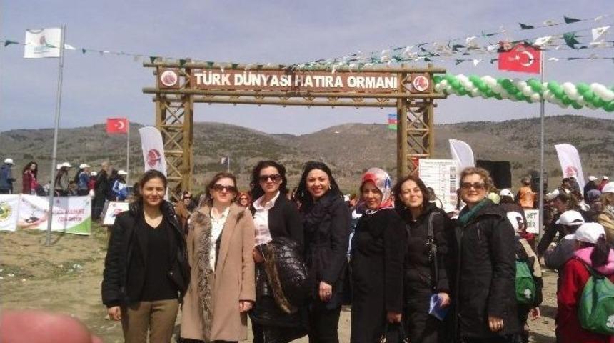 Ak Partili Kadınlar Da Fidan Diktiler