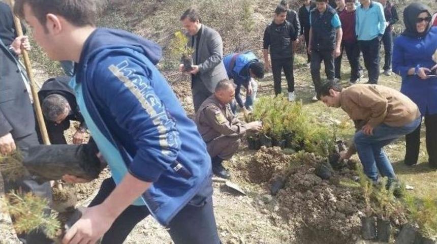 Her &Ouml;ğrencinin Dikili Bir Ağacı Oldu