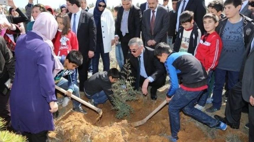 Fidanlar "bereket Ormanları" İ&ccedil;in Dikildi