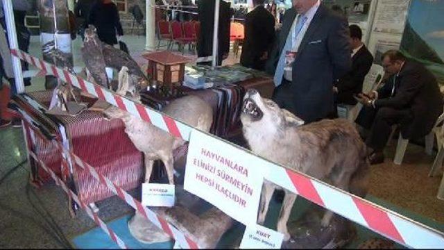 Rize Tanıtım Günleri'nde Erdoğan Maketine Ilgi