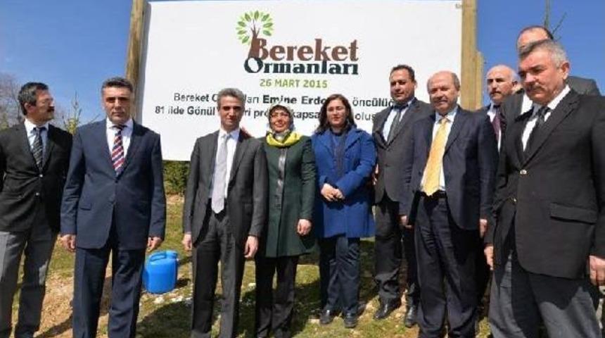 Bolu'da Bereket Ormanı Oluşturuldu
