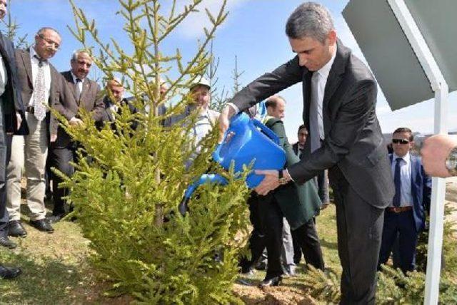 Bolu'da Bereket Ormanı Oluşturuldu