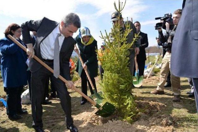 Bolu'da Bereket Ormanı Oluşturuldu