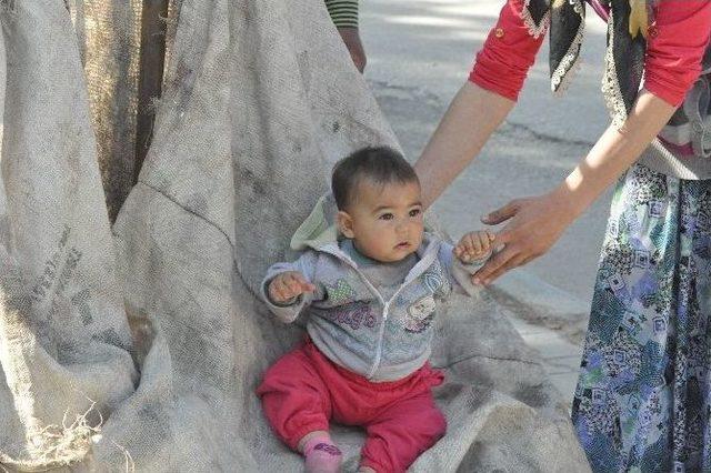 Karton Toplayarak Geçimini Sağlayan Ailenin Yaşam Mücadelesi Yürekleri Burkuyor