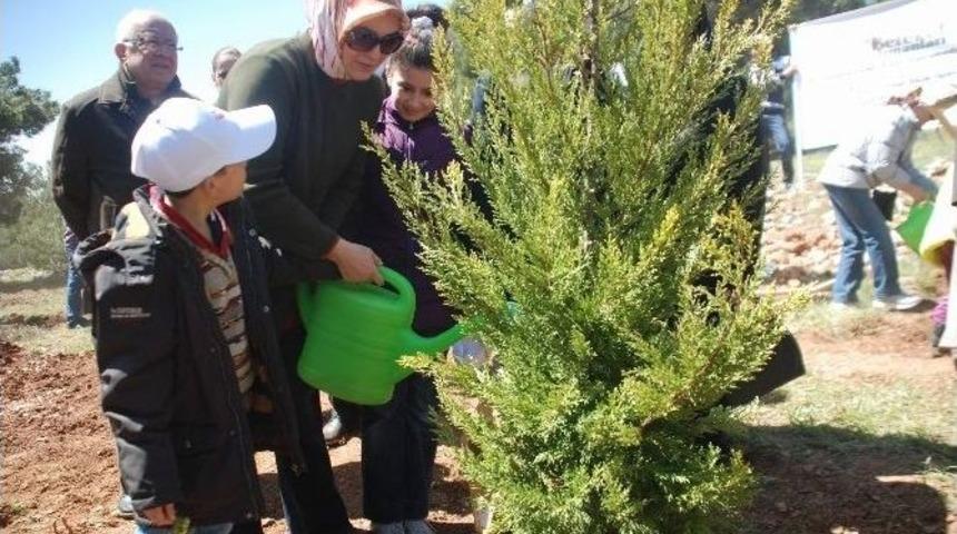 &ldquo;bereket Ormanları&rdquo; Projesi