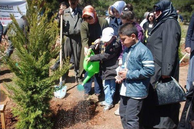 “bereket Ormanları” Projesi