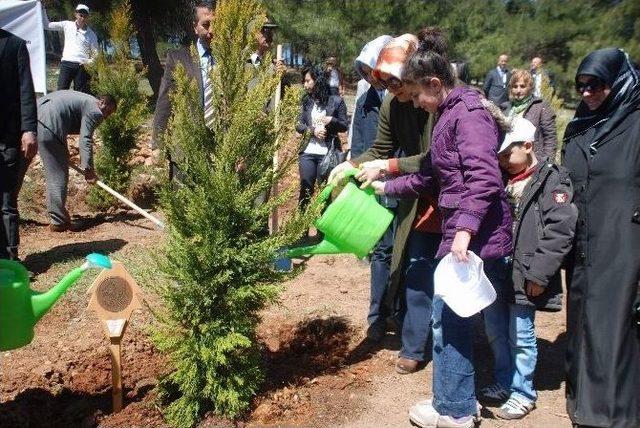 “bereket Ormanları” Projesi