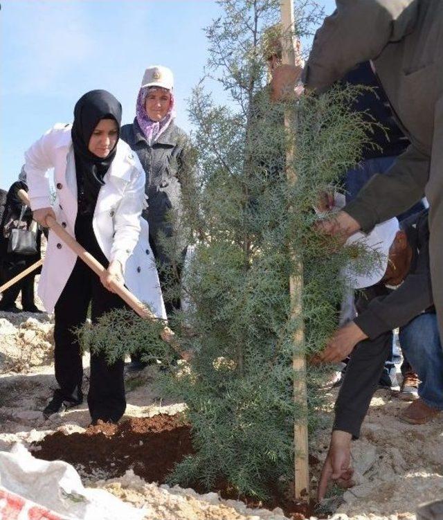 Kilis Gönül Elçileri Bereket Ormanı