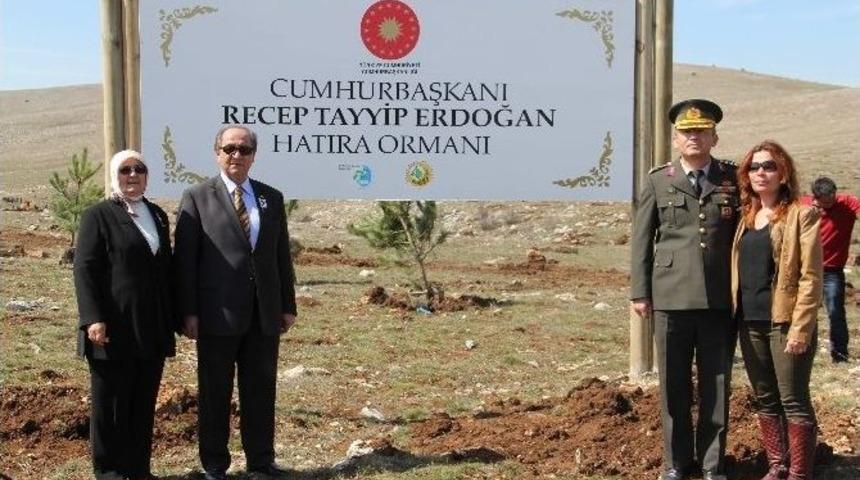 &Ccedil;orum&rsquo;a İki Yeni Hatıra Ormanı