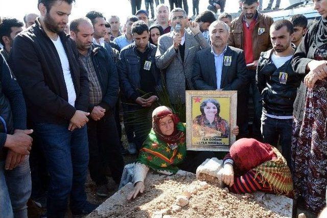 Ypj’li Leyla Doğan’ın Cenazesi Nusaybin’de Defnedildi