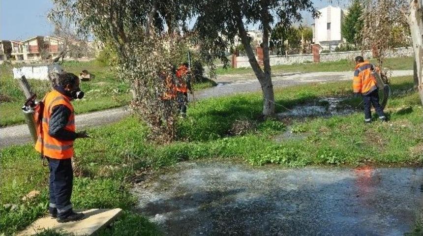 Kuşadası&rsquo;nda Sivrinek Ve Haşere İle M&uuml;cadele &Ccedil;alışmaları