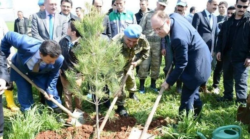 Siirt Valisi Tutulmaz Fidan Dikti
