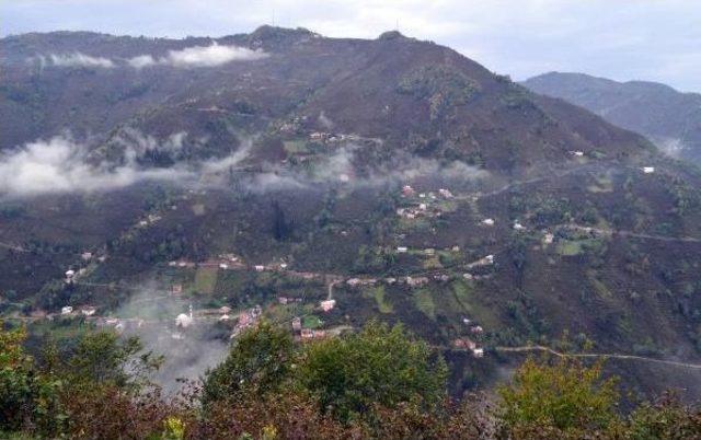 Ordu'da Orman Köylerinden Göç, Karacalara Yaradı