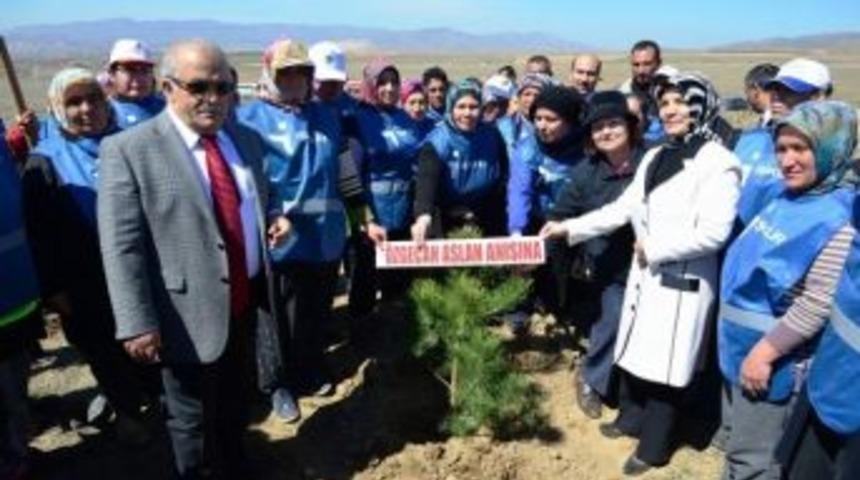Gönül Elçileri Bereket Ormanına Fidan Dikti