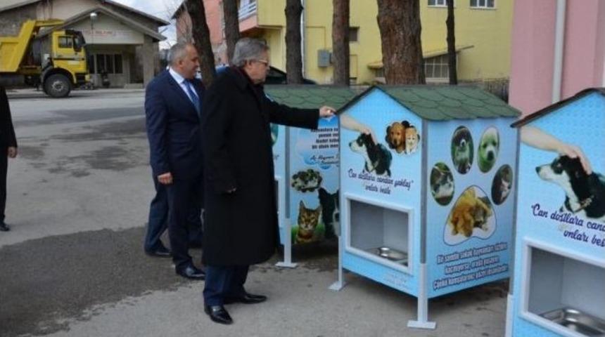 Hayvan Barınağı Ve Yemleme Üniteleri Yerleştirme Programı Yapıldı