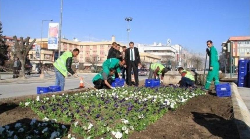 Erzincan &Ccedil;i&ccedil;ek A&ccedil;ıyor