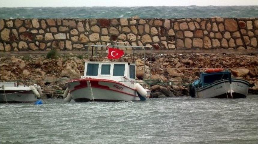 Didim&rsquo;de Lodos Balık&ccedil;ıları Olumsuz Etkiledi