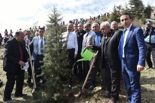 Mamak’ta 2 Bin Fidan Toprakla Buluştu