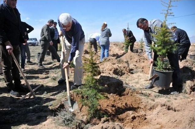 Karaman’da “bereket Ormanı” İçin Fidanlar Toprakla Buluştu