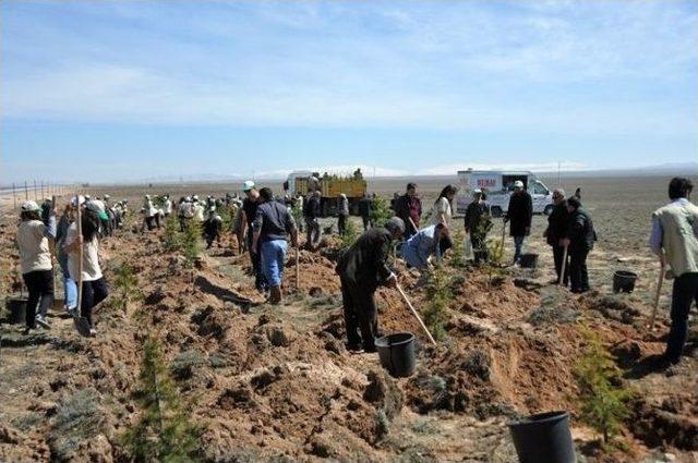 Karaman’da “bereket Ormanı” İçin Fidanlar Toprakla Buluştu