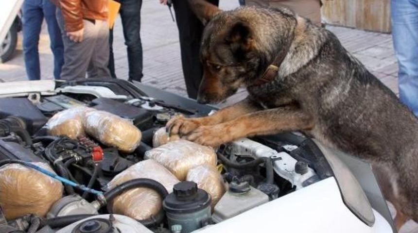 Elazığ'da 35 Kilo Eroin, 33 Kilo Esrar Ele Ge&ccedil;irildi