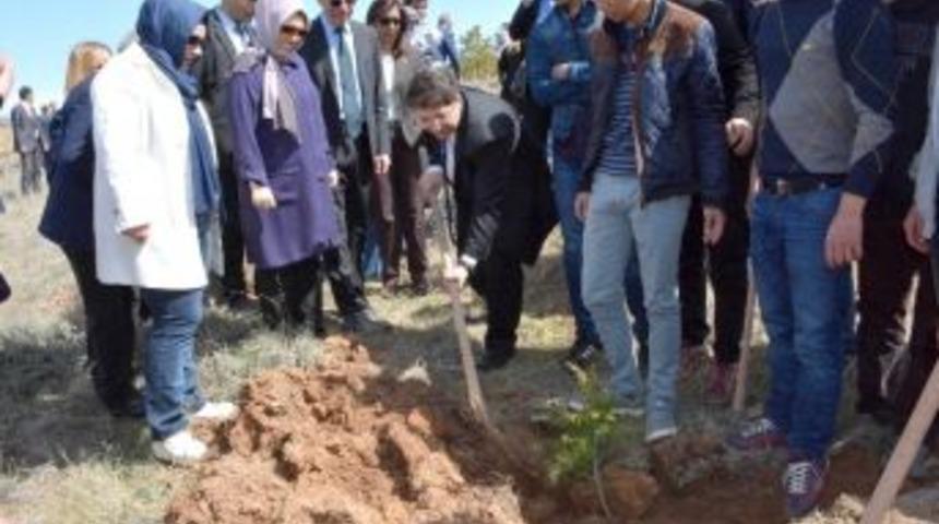 Yeşil Bir Aksaray İ&ccedil;in 80 Bin Fidan Toprakla Buluşacak