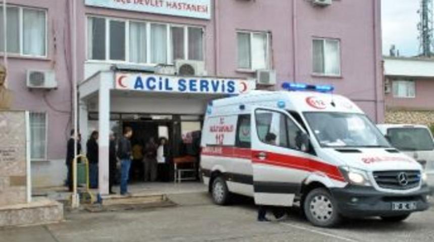 Demre&rsquo;de Domuz Gribi Ş&uuml;phesi