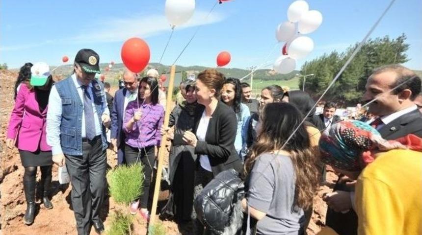 Osmaniye&rsquo;de Bereket Ormanı Oluşturuldu