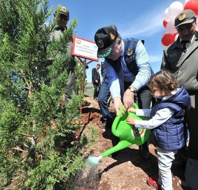 Osmaniye’de Bereket Ormanı Oluşturuldu