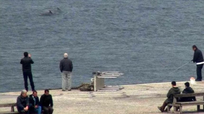 &Ccedil;anakkale Boğazı'nda Sis Engeli (2)