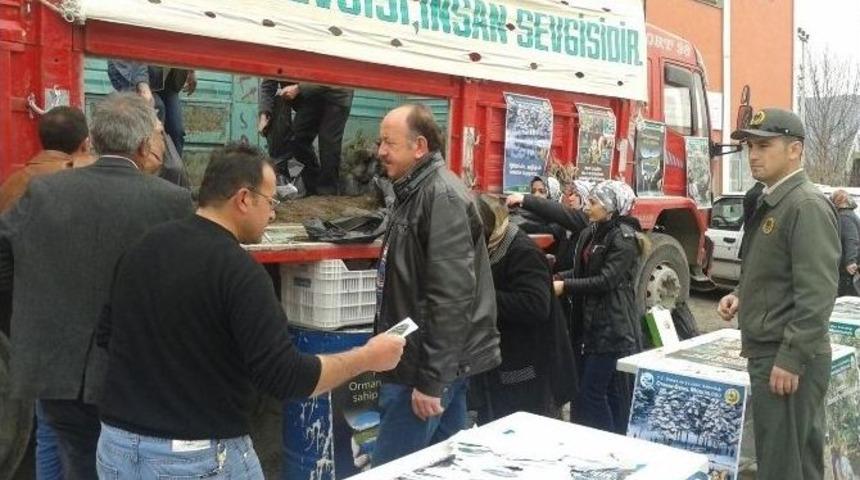 Kargı Orman İşletme M&uuml;d&uuml;rl&uuml;ğ&uuml; 2 Bin Fidan Dağıttı